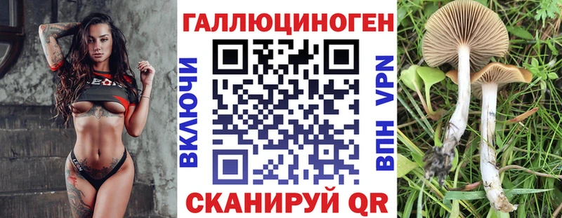 Галлюциногенные грибы Psilocybe  цена   Карачев 