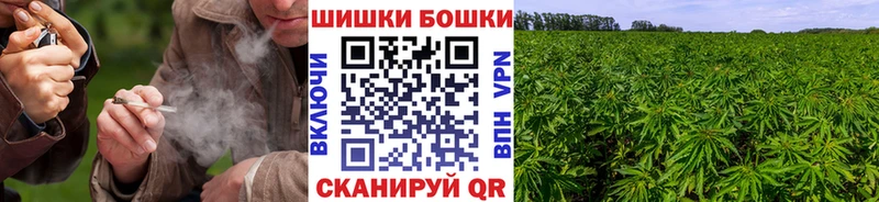 продажа наркотиков Карачев Каннабис Ganja